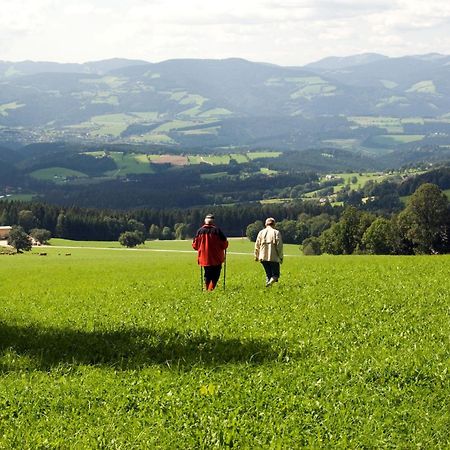 Wildwiesenhof Miesenbach  Buitenkant foto