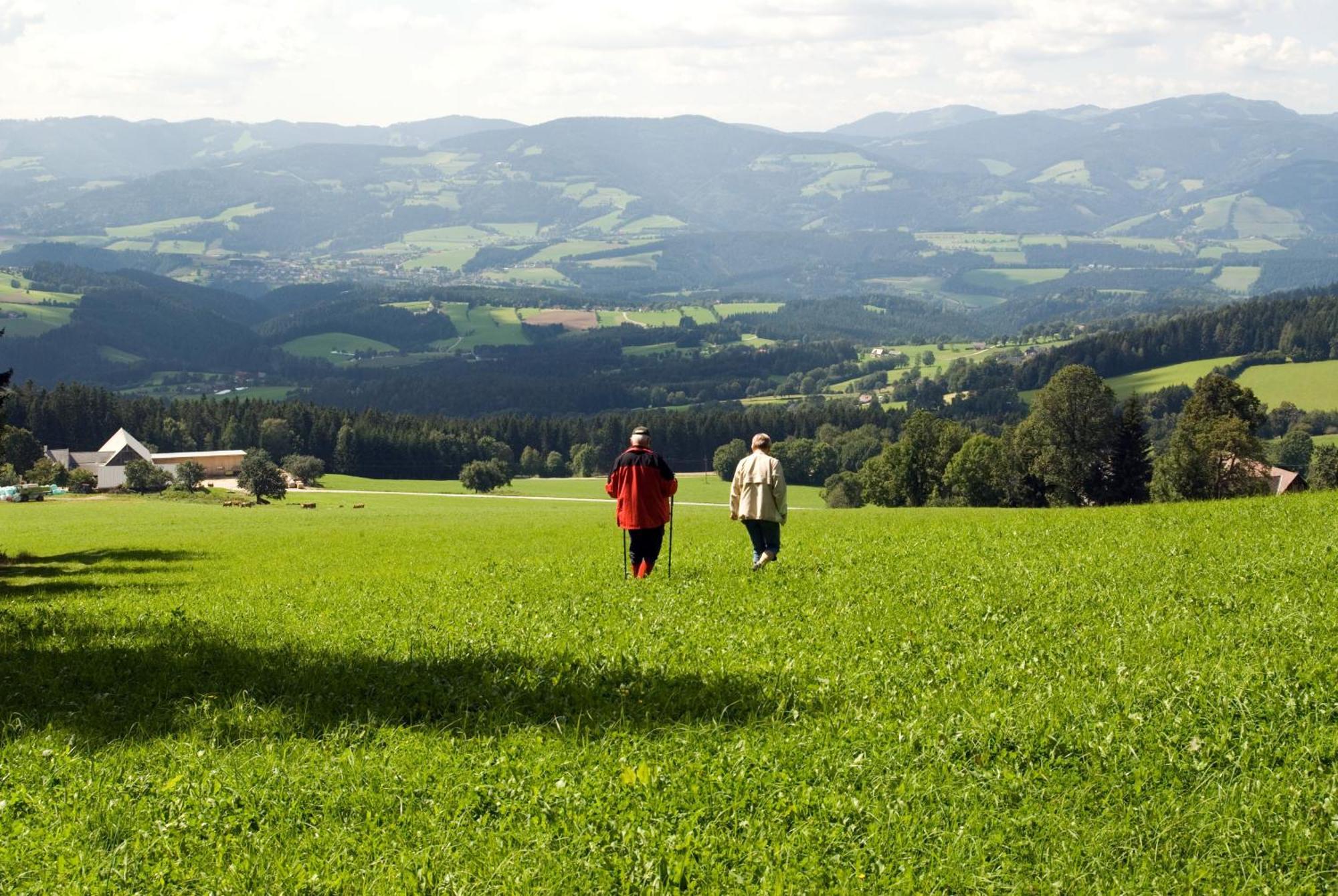 Wildwiesenhof Miesenbach  Buitenkant foto