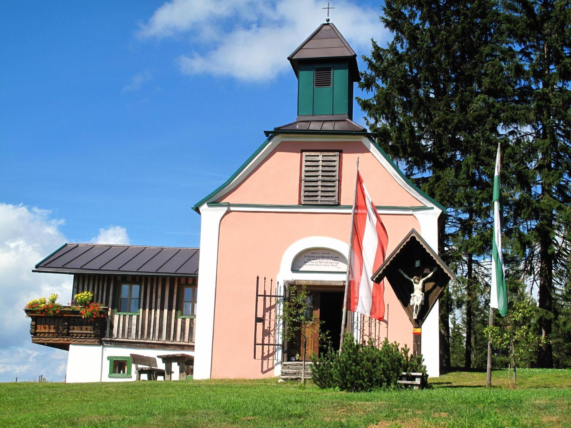 Wildwiesenhof Miesenbach  Buitenkant foto