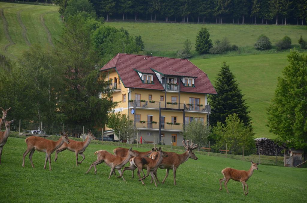 Wildwiesenhof Miesenbach  Buitenkant foto