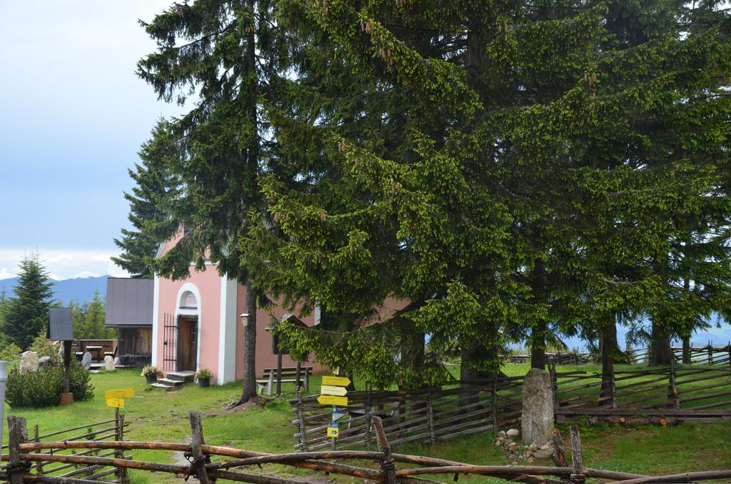 Wildwiesenhof Miesenbach  Buitenkant foto